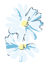 Two illustrated daisies with yellow centers