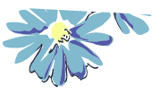 blue-flower