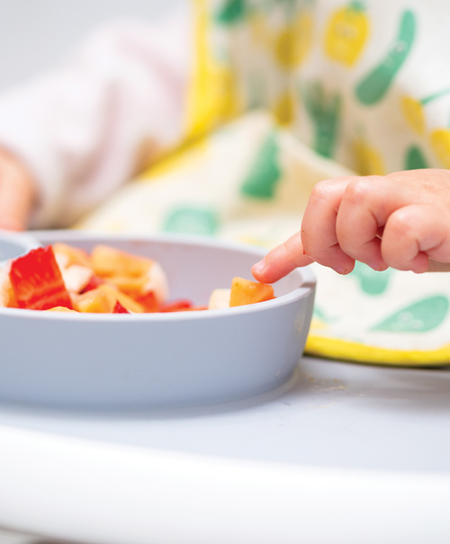 Finger Foods For Your Baby